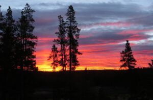 17 sunrise (The 3-Day Summer)