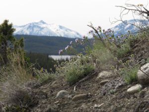 17a lowers from bluff (Galloping Spring)