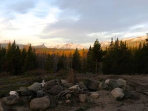 2 orange tree sunrise (Galloping Spring)