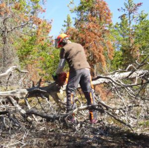 3 MG_0053 (Internet Hill)