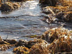 4 creek flowing (The 3-Day Summer)