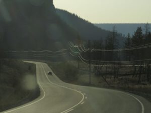 4 morning wire light (Galloping Spring)