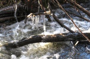 4a creek icicles (The 3-Day Summer)