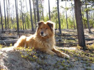 8 harry alert (The 3-Day Summer)