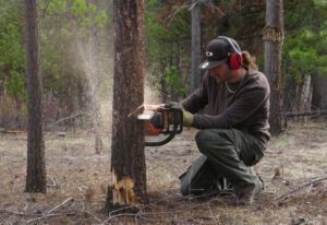 jamie 2 (Galloping Spring)