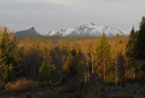 1 Not much spring yet (Spring in Bottom Gear.)