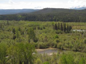 1 full spring internet hill (Internet Hill Update)