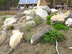 10 rock garden (Spring in Bottom Gear.)