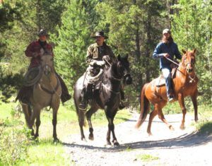11 riders (Precipice Cattle Drive 2016)