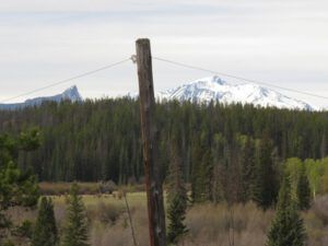 17 telegraph line (Spring in Bottom Gear.)