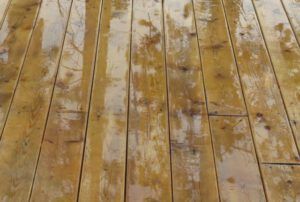 2 rain on deck (Spring in Bottom Gear.)