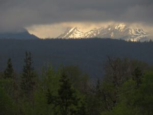 2 thunderlight w2 (Spring Update)