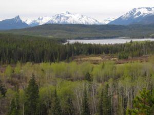 20 clearwater lake (Spring in Bottom Gear.)