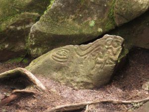 26 pets bits (Down the Bella Coola Hill)