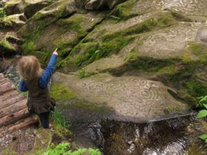 29 pets Wren (Down the Bella Coola Hill)