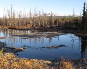 3 rainbows (Down the Bella Coola Hill)