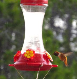 4 hummer popsicle (Spring in Bottom Gear.)