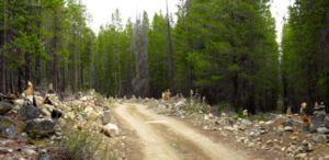 4 stone people (Precipice Cattle Drive 2016)