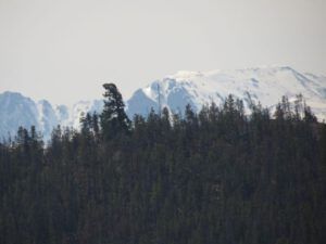 5 new tower (Internet Hill Update)