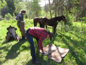 5 saddling up (Precipice Cattle Drive 2016)