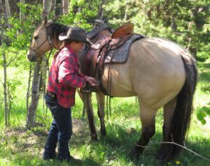 6 saddling up 2 (Precipice Cattle Drive 2016)
