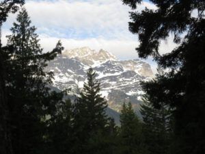 8a  stupendous (Down the Bella Coola Hill)