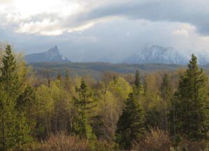 FP spring view best (Spring Green)