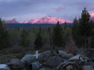 pink morning (Spring Green)