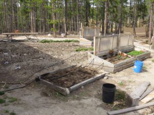 z garden 1 (Spring Green)