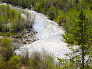z river (Spring Green)