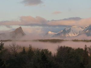 10 novembermist (November in June)