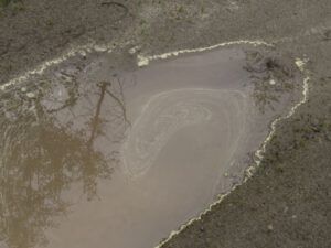 13 pollen on puddle 1 (June Flowers and the Rain)