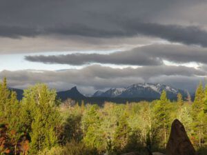 18 foreground light (November in June)