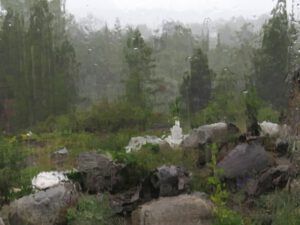 19 heavy rain (November in June)