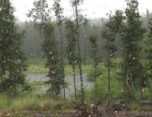 9 pond rain best (November in June)
