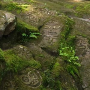 1 overview (Bella Coola Petroglyphs Again.)