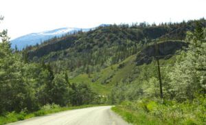 1 so green best (After the Solstice)