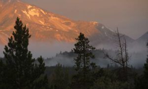 10 red light 2 (Raining Again.)