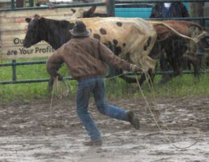 11 Henry (79th Stampede, Anahim Lake)