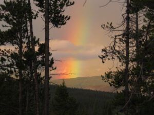 12 rainbow 2 (Raining Again.)