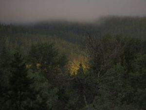 16 last of sun. (Raining Again.)