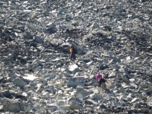 18 other hikers (Perkins Peak Revisited)