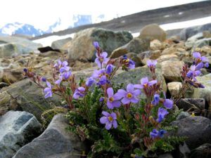 19 jacobs ladder (Perkins Peak Part One)
