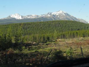 2 on the way (Perkins Peak Part One)