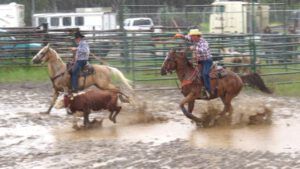 20 team roping again (79th Stampede, Anahim Lake)