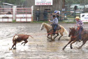 21 got the horns (79th Stampede, Anahim Lake)