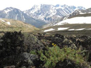 24 other mts and willow (Perkins Peak Part Two)