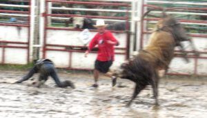25 bull riding 3 (79th Stampede, Anahim Lake)