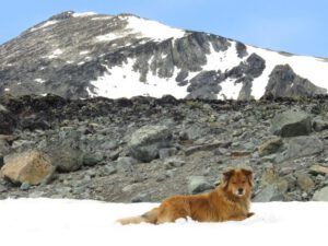 31 Harry’s seen it all (Perkins Peak Part Two)