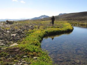 4 looking back (Perkins Peak Revisited)